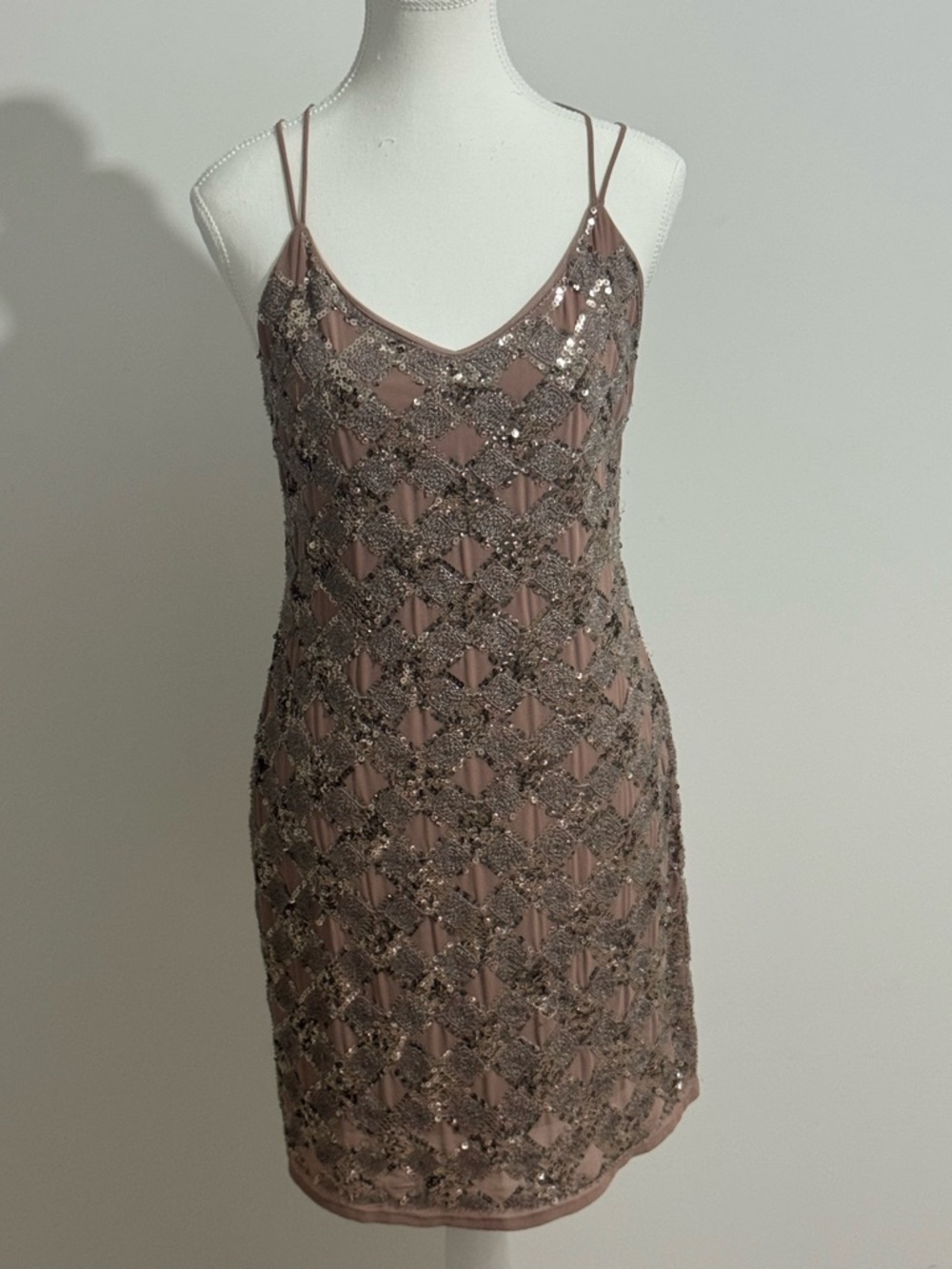 Endless Rose Mauve Beaded Slip Dress